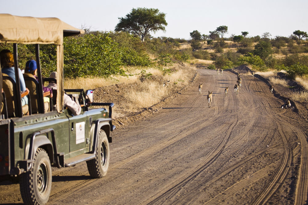Tuli Safari Lodge Lentswelemoriti Esterno foto